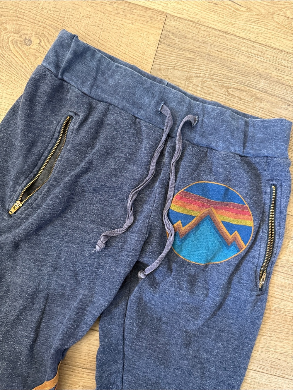 Aviator Nation Navy Jogger Pants with Rainbow Stripe Details Size M - Picture 3 of 7